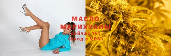 соль ск Елабуга