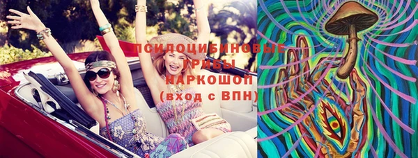 тгк Ельня