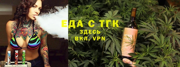 тгк Ельня