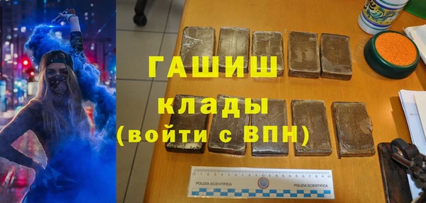 тгк Ельня