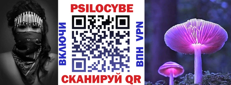 omg tor  Димитровград  Псилоцибиновые грибы Psilocybine cubensis 